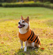 Halloween Dog Sweaters Pet Costume Teddy Warm Leisure Sweater Cosplay Clothes For Dogs Pets Outfits