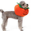 Pet Halloween Pumpkin Collars Cute Pet Cosplay Accessories