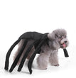 Halloween Christmas dog clothes