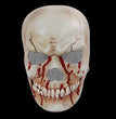 New Halloween Simulation Mouth Skull Mask Plastic