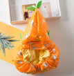 Fashion Personality Pet Halloween 3D Pumpkin Dress