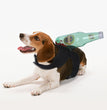 Halloween funny pet clothes