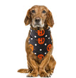 Halloween pet saliva towel
