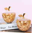 Christmas Gift Decoration