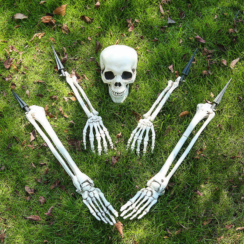 Halloween Simulation Human Plastic Skull Skeleton