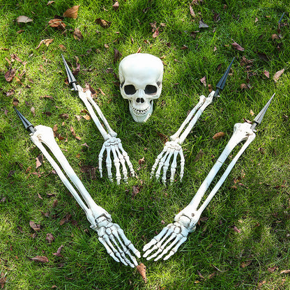 Halloween Simulation Human Plastic Skull Skeleton
