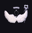 Wings Props Flower Girl Dress Up Halloween Christmas Show Feather Wings