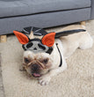 Pet Halloween Supplies Ghost Festival Ornaments Dog Personality Hat Cat Bat Wings