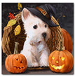 Halloween Cat Square Rhombus Cartoon Embroidery Diamond Painting