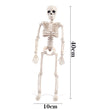 Halloween Plastic Skull Ghost Skeleton Decoration Props