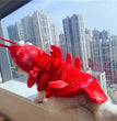 Halloween Cat Lobster Clothes New Year Christmas