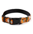 Halloween pet collar
