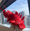 Halloween Cat Lobster Clothes New Year Christmas