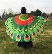 Peacock Feather Halloween Cape Chiffon Peacock Cape