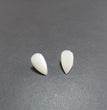 Halloween Vampire Zombie Dentures