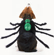 Pet Sequined Spider Chest And Back Halloween Creative Cats, Dogs, Small Dogs And Costumes