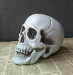 Halloween Decoration Artificial Skull