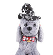 New pet headdress Halloween Headband