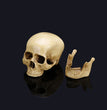 Halloween skull model