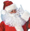 Plus size santa costume