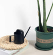 Mini Watering Can for Indoor Plants Stainless Steel Small Watering Can 11Oz/300Ml
