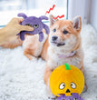 Fashion Personality Pet Halloween Voice Toy