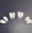 Halloween Vampire Zombie Dentures