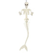 Halloween Skull Fish-skeleton Hanger Fixed Posture Simulation Chamber Props
