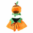 Double Sided Cloak For Halloween Pumpkin