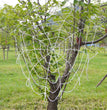 Halloween Ghost Festival Colorful LED Glowing Spider Web