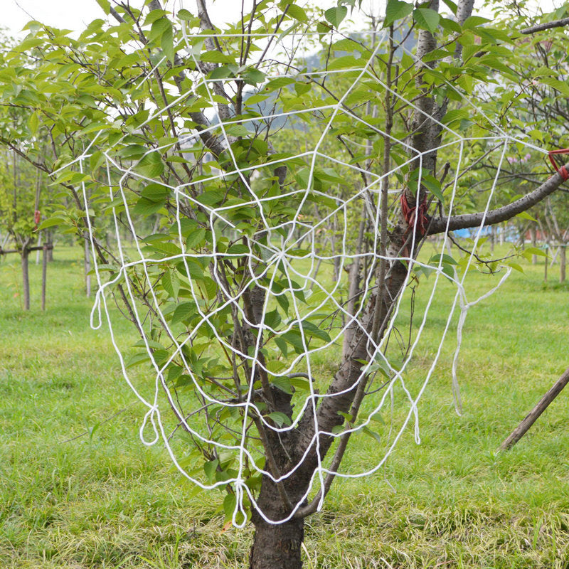 Halloween Ghost Festival Colorful LED Glowing Spider Web
