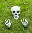 Halloween Simulation Human Plastic Skull Skeleton