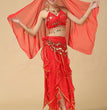 Belly Dance Costumes Special Offer Indian Dance Performances