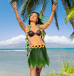 Hawaiian Simulation Leaf Skirt Hula Halloween Party Costume