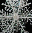 Christmas Snowflakes Christmas Decorations Activity Goods Three-dimensional Snowflake Strings