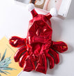 Turn Into A Cat And Dog Costume For Halloween