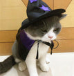 Pet Halloween Wizard Dressup Decoration Set