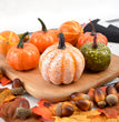 Autumn Pastoral Style Simulation Pumpkin Acorn Maple Leaf Pine Cone Halloween Diy Decoration Props