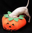 Pet Halloween Pumpkin Collars Cute Pet Cosplay Accessories