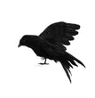 Halloween Dee's Artificial Crow