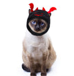 Halloween Pet Cat Toy Headgear Hat
