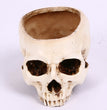 Halloween Home Skull Ashtray Flower Pot