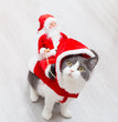 Fashion Christmas Clothes Green Elf Pet Dog Christmas Costume