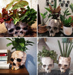 New Halloween Skull Resin Planter Ornament
