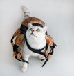 Pet Spiders Change Costumes