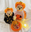 Fashion Halloween Pet Cat Dog Pumpkin Hat