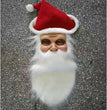 Santa Claus Wig Beard Mask Set