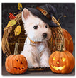 Halloween Cat Square Rhombus Cartoon Embroidery Diamond Painting