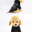 Dog Halloween Funny Pet Clothes