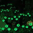 Solar-powered String Lights Eye Lamp Halloween Floor Outlet